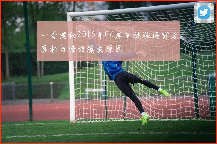 一哥揭秘2016年G6库里被驱逐背后真相与情绪爆发原因