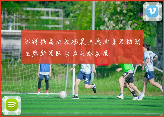 沈祥福高洪波杨晨当选北京足协副主席新团队助力足球发展