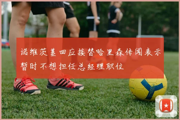 诺维茨基回应接替哈里森传闻表示暂时不想担任总经理职位
